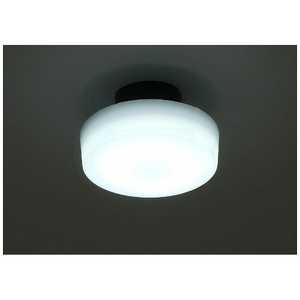アイリスオーヤマ　IRIS OHYAMA LEDシーリングライト ECOHiLUX(エコハイルクス) ホワイト [昼光色] SCL5D-HL