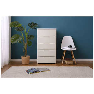 ꥹ IRIS OHYAMA Ǽê 롼 251181 RC555