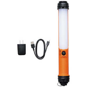 PROLEDS LWS-200SB-CH