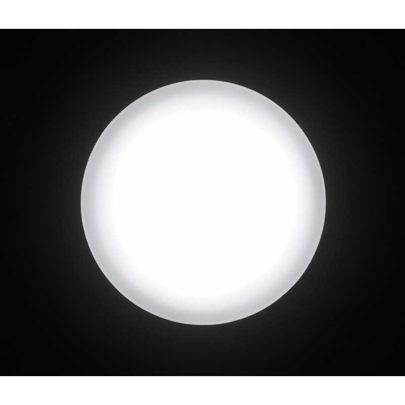 アイリスオーヤマ　IRIS OHYAMA アイリスオーヤマ　IRIS OHYAMA LEDシーリングライト ホワイト [6畳 昼光色] CL6D-5.1VSN CL6D-5.1VSN