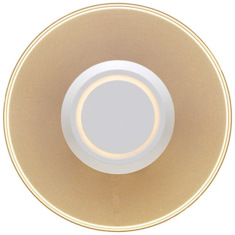 アイリスオーヤマ　IRIS OHYAMA アイリスオーヤマ　IRIS OHYAMA 小型シーリングライト 導光板 1500lm 電球色 ホワイト SCL-150L-LGP SCL-150L-LGP