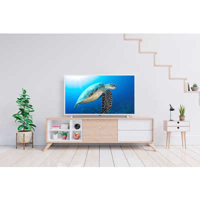 IRIS OHYAMA LT-40C420W 液晶40V型