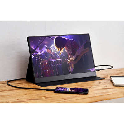 アイリスオーヤマ IRIS OHYAMA PCモニター ブラック [15.6型 /フルHD