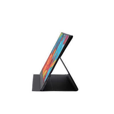 アイリスオーヤマ IRIS OHYAMA PCモニター ブラック [15.6型 /フルHD 