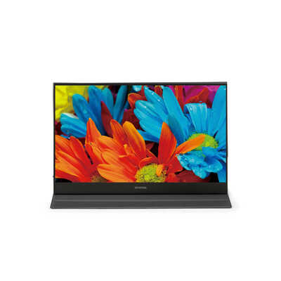 アイリスオーヤマ IRIS OHYAMA PCモニター ブラック [15.6型 /フルHD