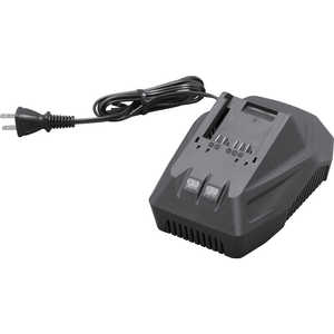 アイリスオーヤマ IRIS OHYAMA IRIS518120充電器18Vブラック DBLC18 アイリスオーヤマ IRIS OHYAMA IRIS518120充電器18Vブラック DBLC18