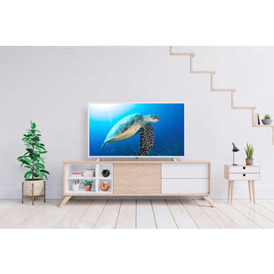 アイリスオーヤマ IRIS OHYAMA 液晶テレビ [ 40V型