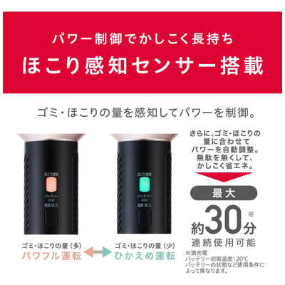 アイリスオーヤマ IRIS OHYAMA 【アウトレット】充電式スティック 