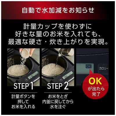 アイリスオーヤマ IRIS OHYAMA 炊飯器 5.5合 技炎かまど炊き 圧力IH
