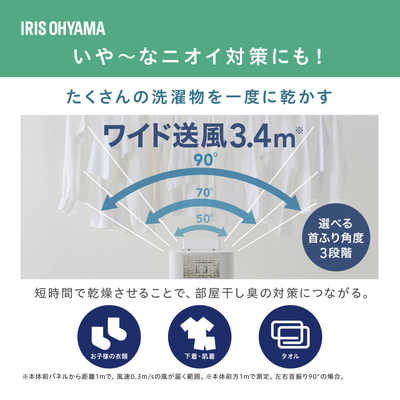 アイリスオーヤマ IRIS OHYAMA 衣類乾燥除湿機 デシカント(ゼオライト