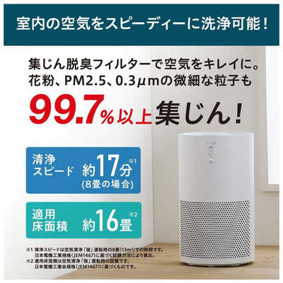 アイリスオーヤマ IRIS OHYAMA 【アウトレット】単機能空気清浄機 16畳