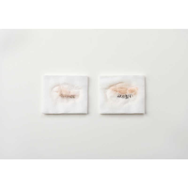 アイリスオーヤマ　IRIS OHYAMA アイリスオーヤマ　IRIS OHYAMA MiCOLA ( ミコラ ) フェイススチーマー ホワイト FST-101 FST-101