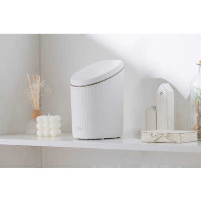 アイリスオーヤマ IRIS OHYAMA MiCOLA ( ミコラ ) フェイススチーマー