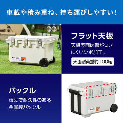 アイリスオーヤマ IRIS OHYAMA 真空断熱クーラーボックス(60L