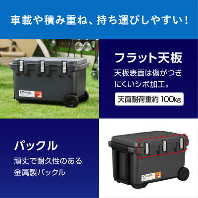 アイリスオーヤマ IRIS OHYAMA 真空断熱クーラーボックス(60L
