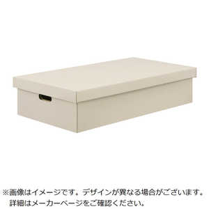 アイリスオーヤマ IRIS OHYAMA 106393 ダンボールシュウノウケース2マイセット ホワイト DB700W アイリスオーヤマ IRIS OHYAMA 106393 ダンボールシュウノウケース2マイセット ホワイト DB700W