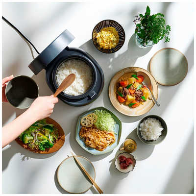 アイリスオーヤマ IRIS OHYAMA 炊飯器 3合 アッシュ SHK-NR105-HA の