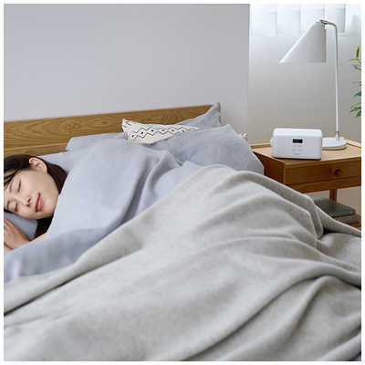 アイリスオーヤマ IRIS OHYAMA 小型ふとん乾燥機 BSK-110-W の通販