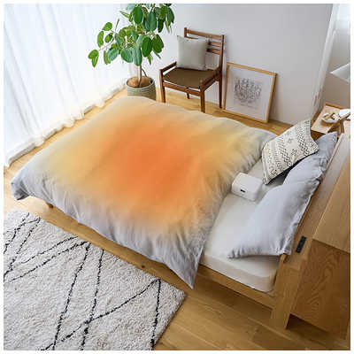 アイリスオーヤマ IRIS OHYAMA 小型ふとん乾燥機 BSK-110-W の通販