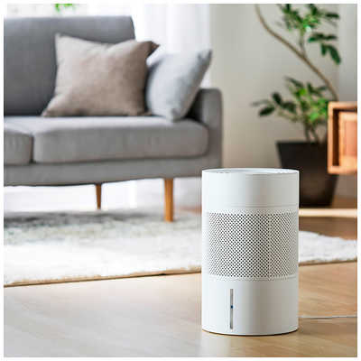 アイリスオーヤマ IRIS OHYAMA 丸洗い気化加湿器 ホワイト KHMMVU601W