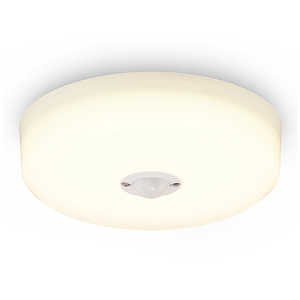 �A�C���X�I�[���} IRIS OHYAMA LED���^�V�[�����O���C�g �l���Z���T�[�t�� �d���F 600lm �m�d���F / LED�n SCL6L-MS-HK