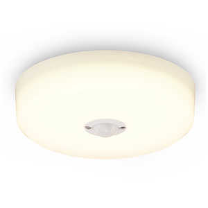 �A�C���X�I�[���} IRIS OHYAMA LED���^�V�[�����O���C�g �l���Z���T�[�t�� �d���F 2000lm �m�d���F / LED�n SCL20L-MS-HK