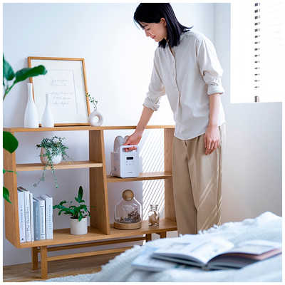 アイリスオーヤマ IRIS OHYAMA ふとん乾燥機 カラリエmini TURBO