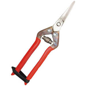 近正 チカマサ オールステンレス収穫鋏 T55SR