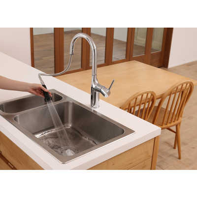 アラミック ナノバブルキッチンシャワー水栓 ［ワンホール］ WFN1 の