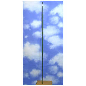第一ビニール すくすく竹 イボ付 11X1500 スクスクタケイボヅケ 第一ビニール すくすく竹 イボ付 11X1500 スクスクタケイボヅケ