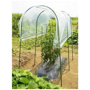 第一ビニール 家庭菜園 雨よけセット W130cmxL180cm カテイサイエンアマヨケセット
