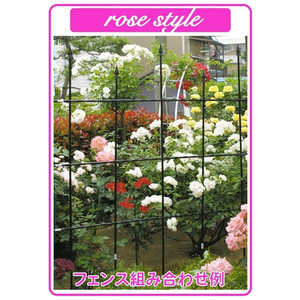 ӥˡ  ǥ L150cm ǥ