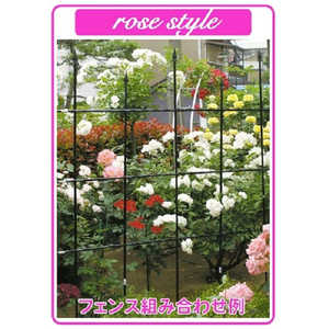 rj[ [YX^C X}[g L180cm [YX^CX}[g