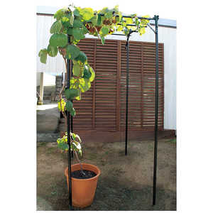ӥˡ êå KT?S W90cmxD120cmxH210cm ΥʥåKT-S