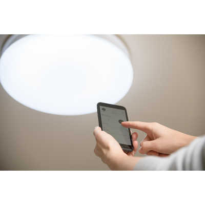 スワン電器 LEDファンシーリングライト UZUKAZE [12畳 昼光色～電球色 リモコン付属] FCE-550WH-UZ