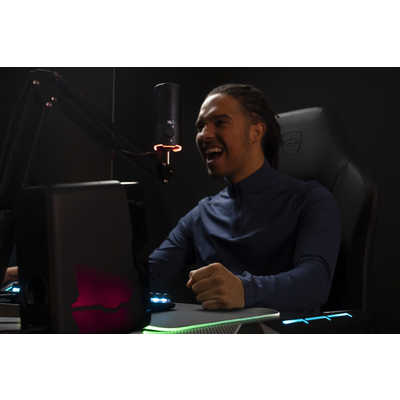 JBL ゲーミングマイク エレクトレットデュアルコンデンサー型USBマイク