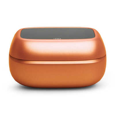 JBL 完全ワイヤレスイヤホン ［ワイヤレス(左右分離) / カナル型