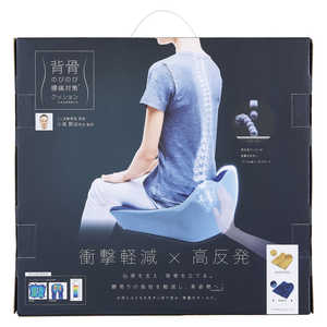 RWbg w ̂т̂эɑ΍NbV NV lCr[ 93935