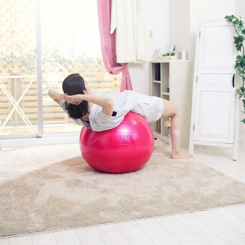 アルインコ アルインコ エクササイズボール(55cm/ピンク) WBN055P WBN055P