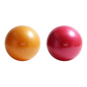 アルインコ エクササイズボール(55cm/ピンク) WBN055P