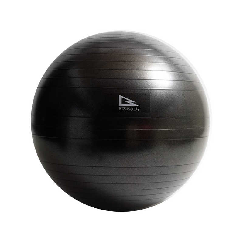 アルインコ アルインコ エクササイズボール(75cm/ブラック) WBN075 WBN075