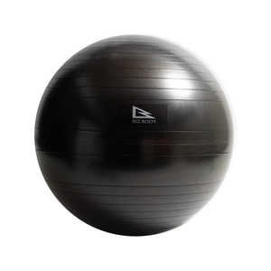 アルインコ エクササイズボール(75cm/ブラック) WBN075