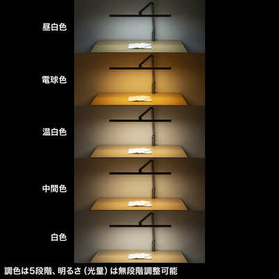 サンワサプライ クランプ固定式LEDデスクライト LED-DESK2GM の