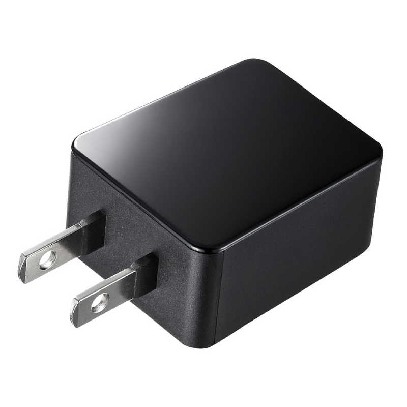 サンワサプライ サンワサプライ USB充電器(2A･高耐久タイプ) ACA-IP52BK ACA-IP52BK