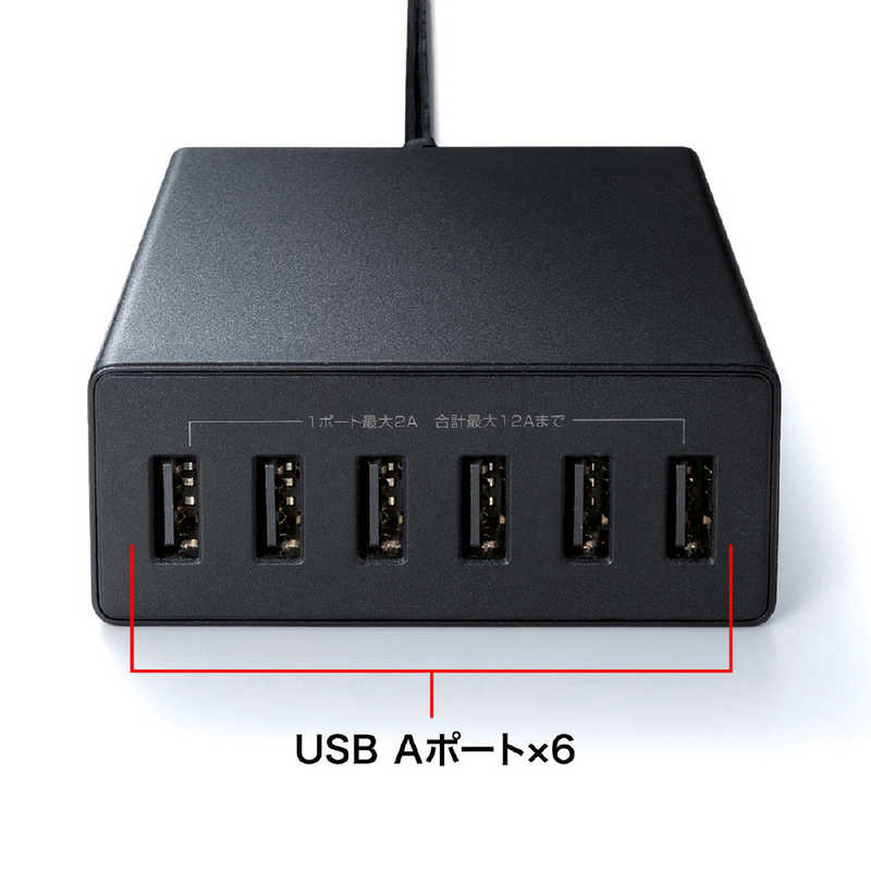 サンワサプライ サンワサプライ USB充電器(6ポート･合計12A･ブラック) ACA-IP67BK ACA-IP67BK