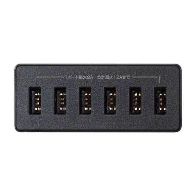 サンワサプライ USB充電器(6ポート・合計12A・ブラック) ACA-IP67BK の