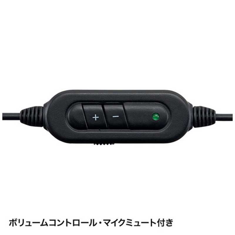サンワサプライ サンワサプライ ヘッドセット[USB] (ブラック) MM-HSU05BK MM-HSU05BK