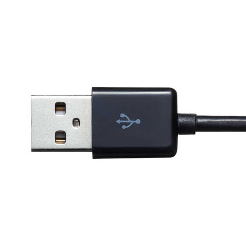 サンワサプライ サンワサプライ ヘッドセット [USB /両耳 /ヘッドバンドタイプ] MM-HSU10GM MM-HSU10GM
