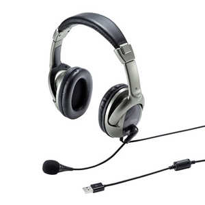 サンワサプライ ヘッドセット［USB /両耳 /ヘッドバンドタイプ] MM-HSU10GM
