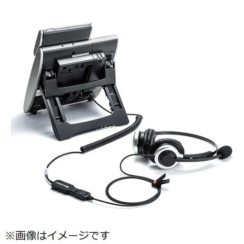 サンワサプライ サンワサプライ 電話用ヘッドセット(両耳タイプ) MM-HSRJ01 MM-HSRJ01